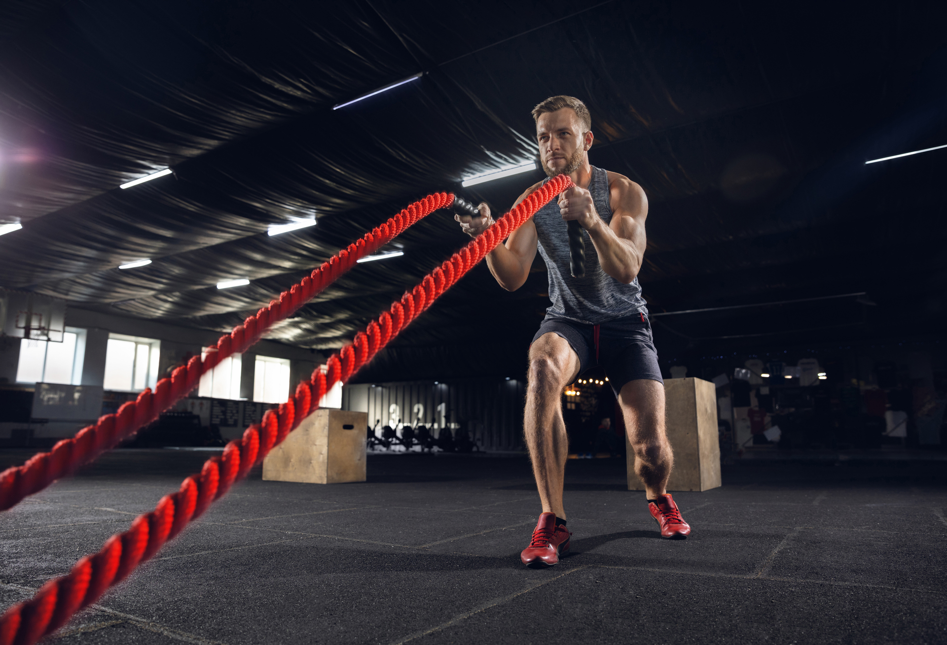 Young healthy man, athlete doing exercise with the ropes in gym. Single male model practicing hard and training his upper body. Concept of healthy lifestyle, sport, fitness, bodybuilding, wellbeing.